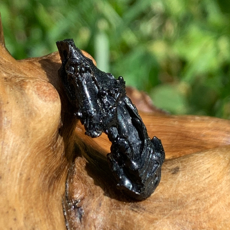 Irgizite Tektite-Moldavite Life