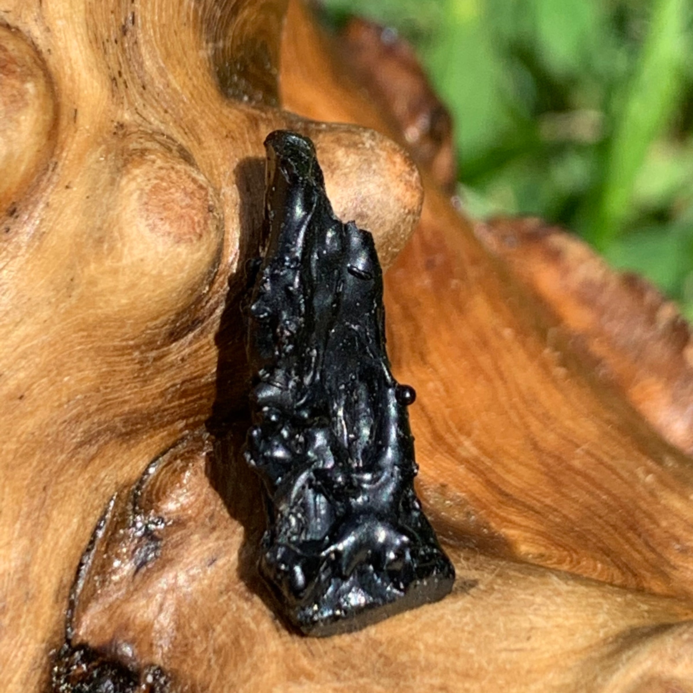 Irgizite Tektite-Moldavite Life