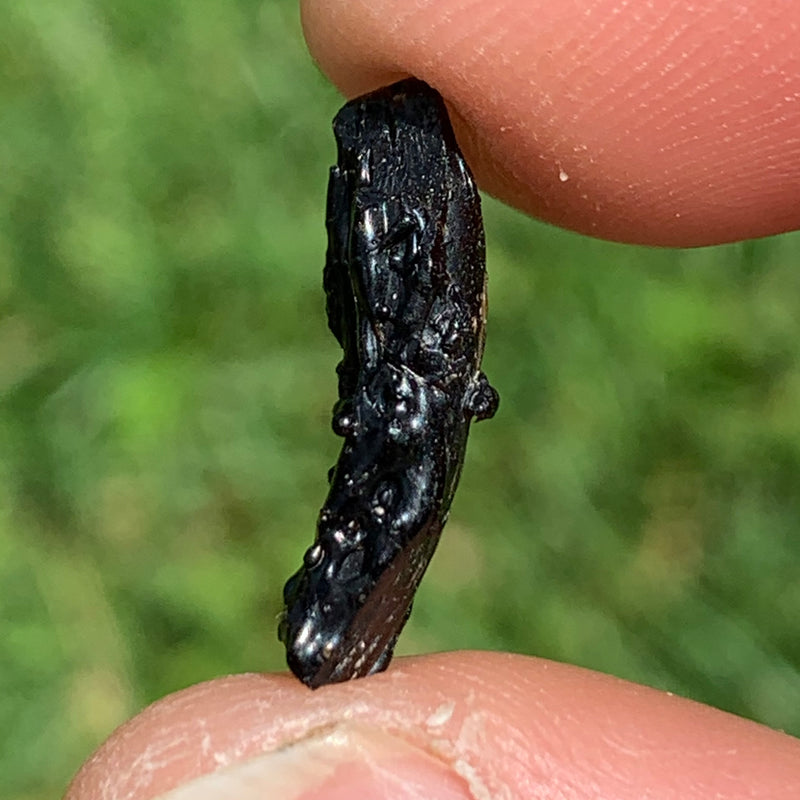 Irgizite Tektite-Moldavite Life