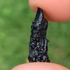 Irgizite Tektite-Moldavite Life