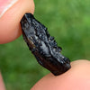 Irgizite Tektite-Moldavite Life