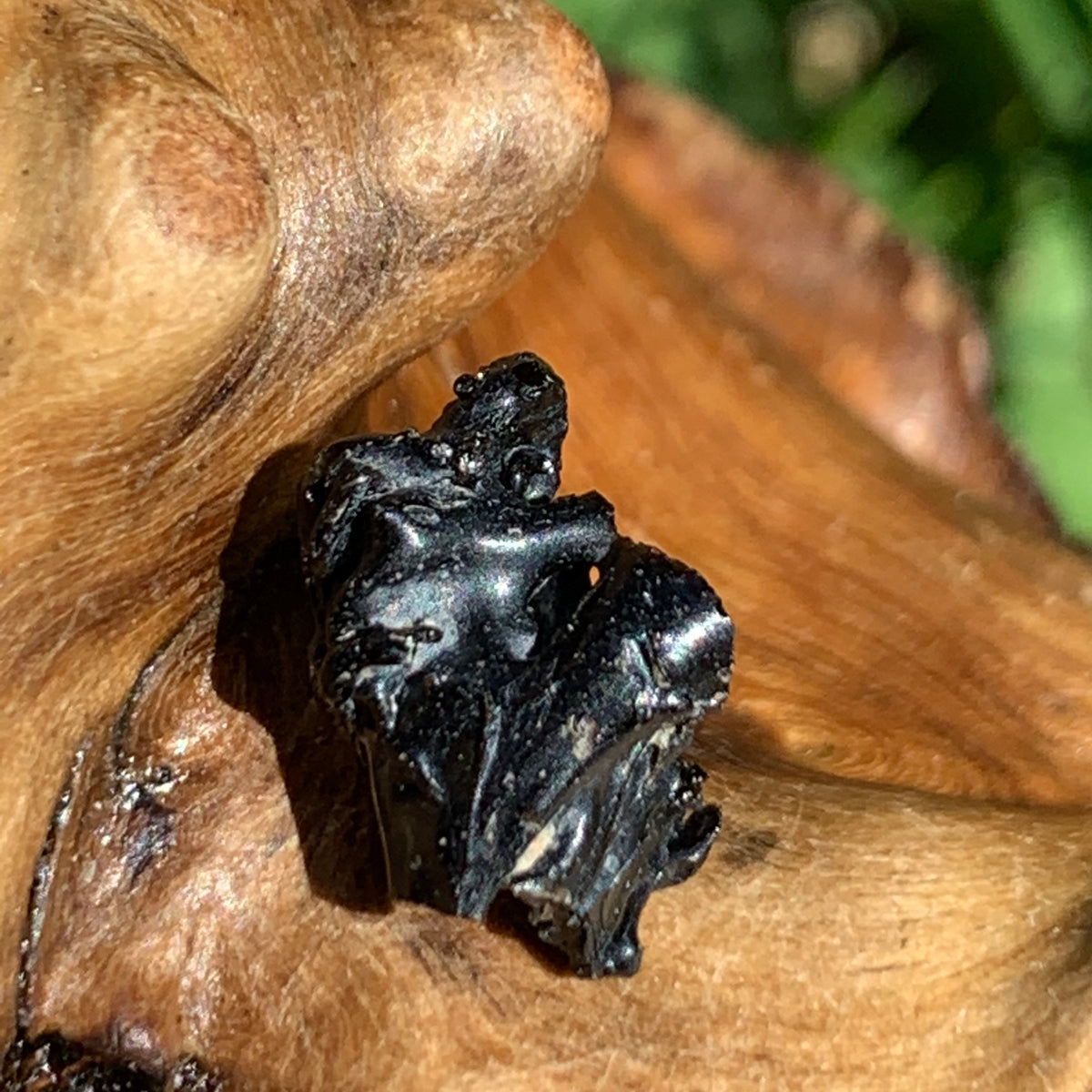 Irgizite Tektite-Moldavite Life