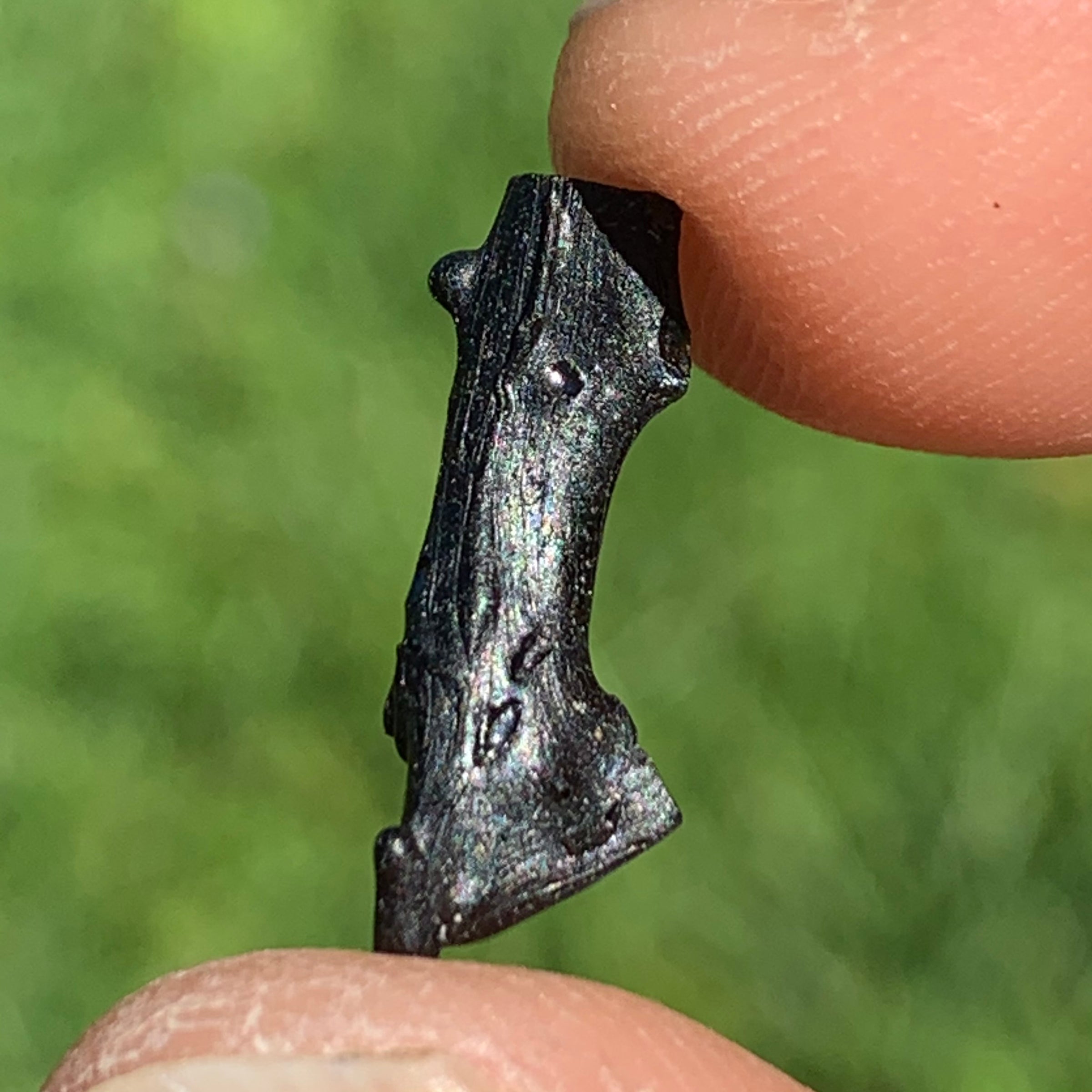 Irgizite Tektite-Moldavite Life