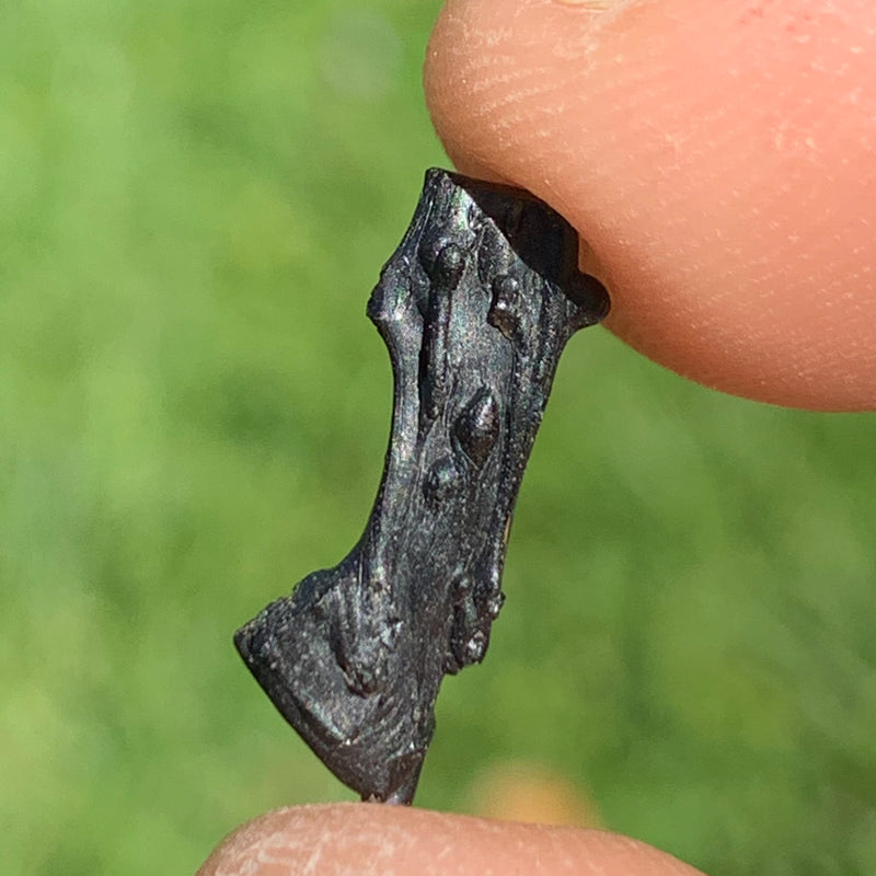 Irgizite Tektite-Moldavite Life