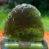 Large Moldavite Genuine Certified Czech Republic 40 grams 1025-Moldavite Life