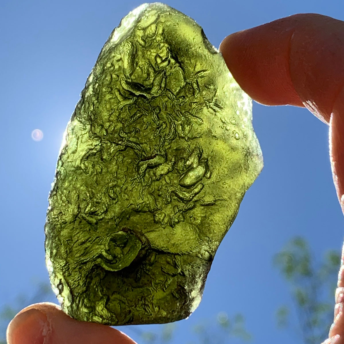 Large Moldavite Genuine Certified Czech Republic 49.8 grams 1026-Moldavite Life