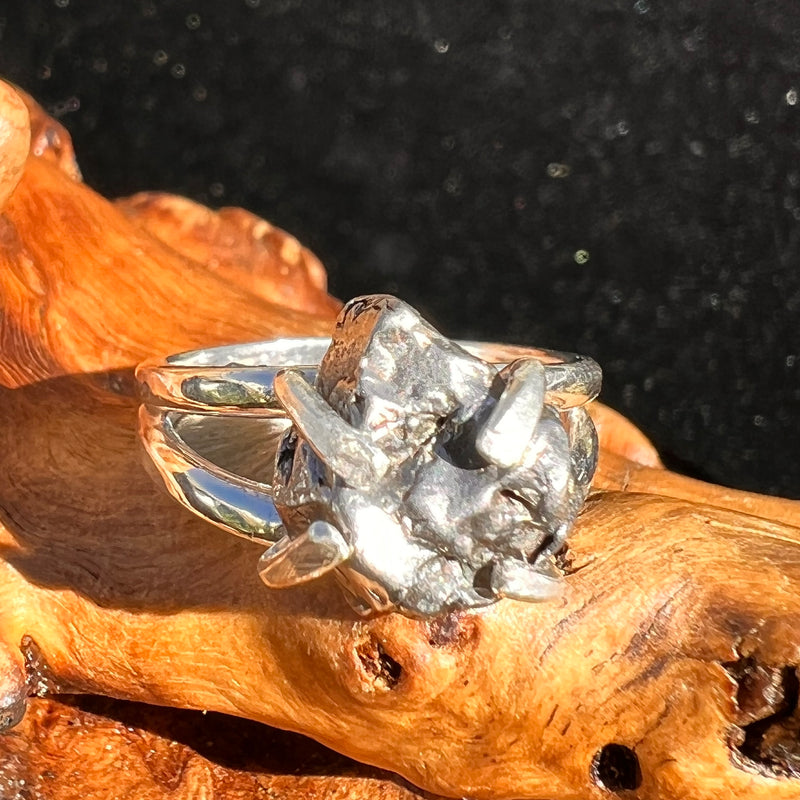 Campo Del Cielo Meteorite Ring Sterling Size 5-Moldavite Life
