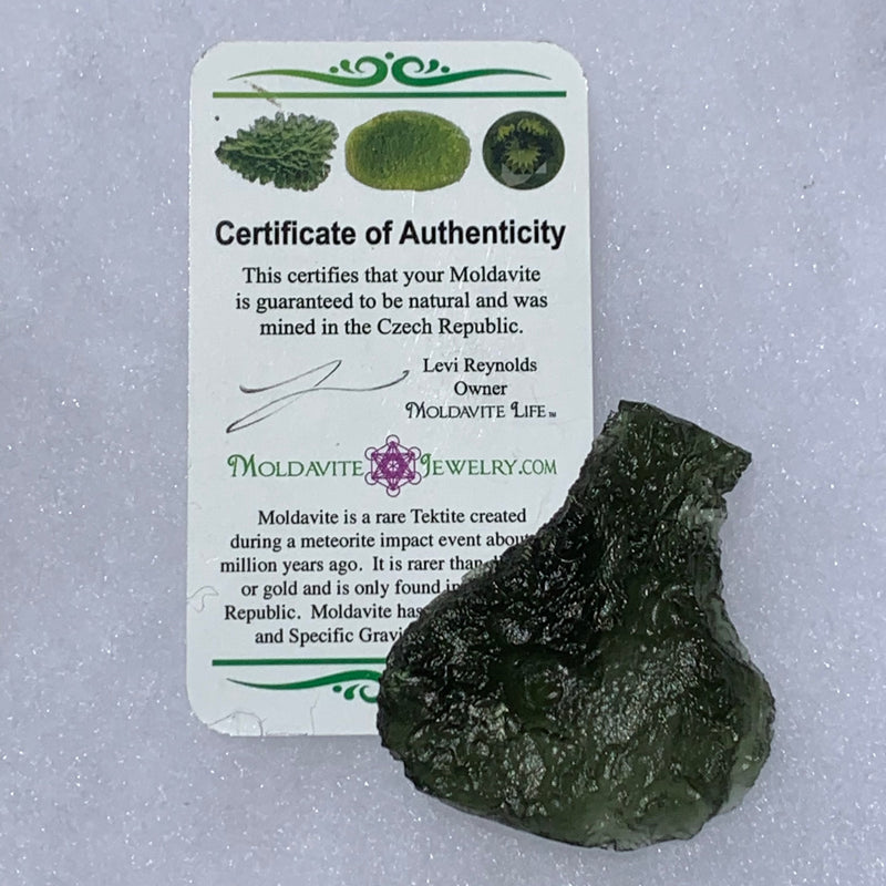 Large Moldavite Genuine Certified Czech Republic 23.3 grams 1027-Moldavite Life