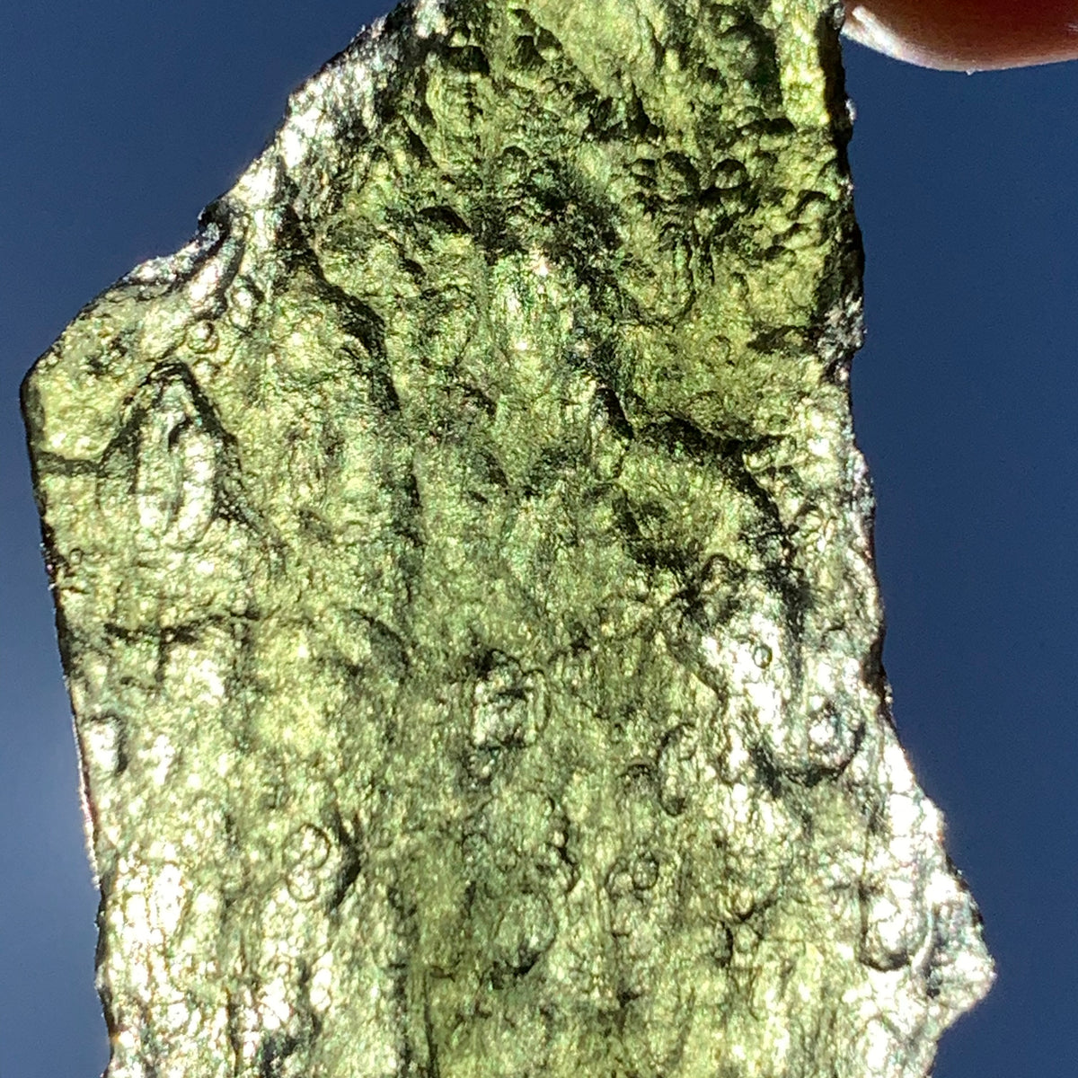 Angel Chime Moldavite Genuine Certified 9.7 Grams 18-Moldavite Life