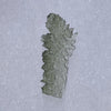 Angel Chime Moldavite Genuine Certified 0.8 Grams 30-Moldavite Life