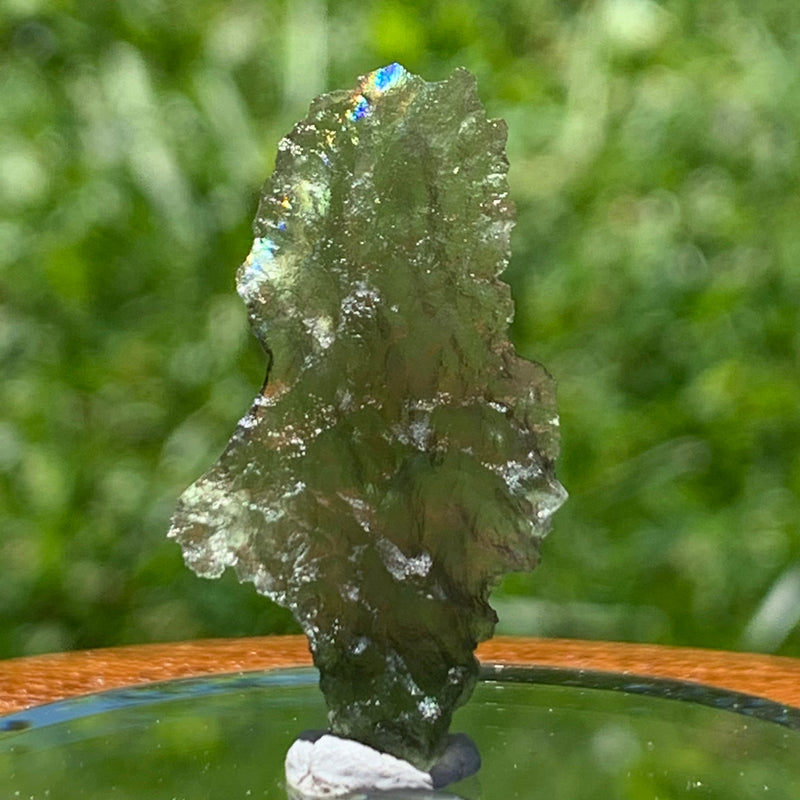 Angel Chime Moldavite Genuine Certified 1.2 Grams 31-Moldavite Life