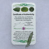 Angel Chime Moldavite Genuine Certified 0.6 Grams 34-Moldavite Life