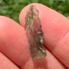 Angel Chime Moldavite Genuine Certified 0.8 Grams 39-Moldavite Life