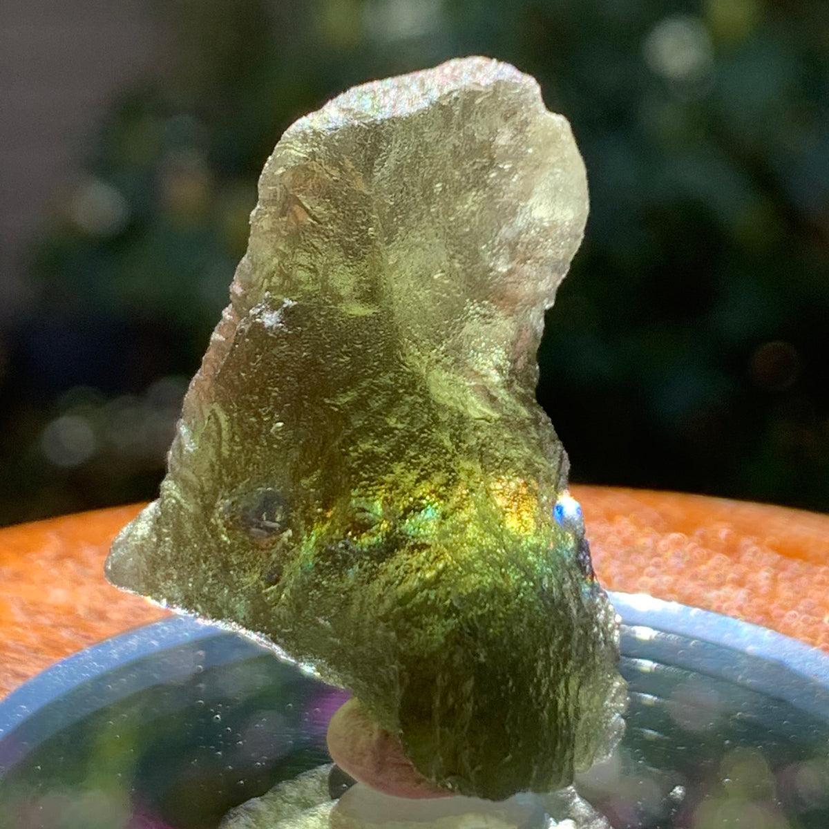 Moldavite 9.8 grams #1031