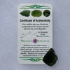 Moldavite 4.6 grams