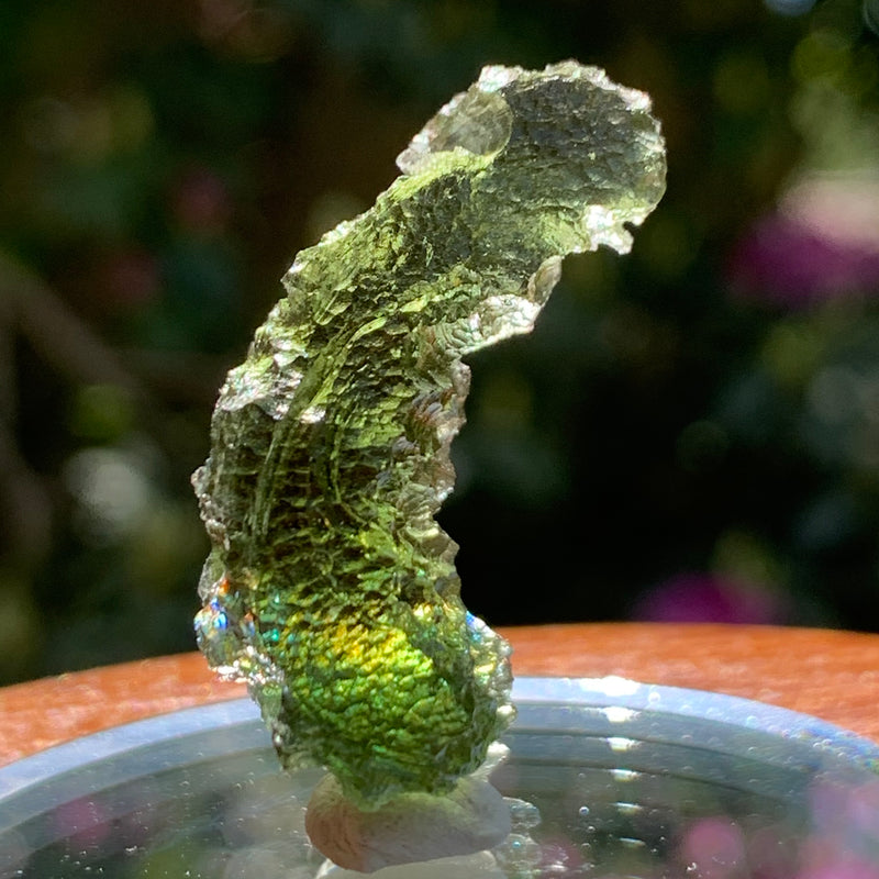 Moldavite 6.4 grams #1034