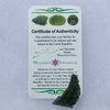 Moldavite 6.4 grams #1034