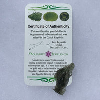 Moldavite Genuine Certified Czech Republic 3.0 grams