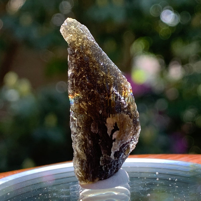 Moldavite 4.6 grams