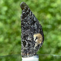 Moldavite 4.6 grams