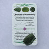 Moldavite Genuine Certified Czech Republic 3.5 grams