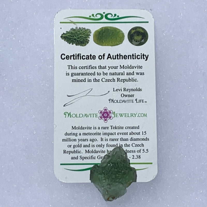 Moldavite Genuine Certified Czech Republic 4.2 grams