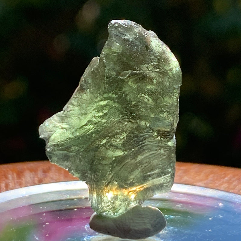 Moldavite Genuine Certified Czech Republic 3.6 grams