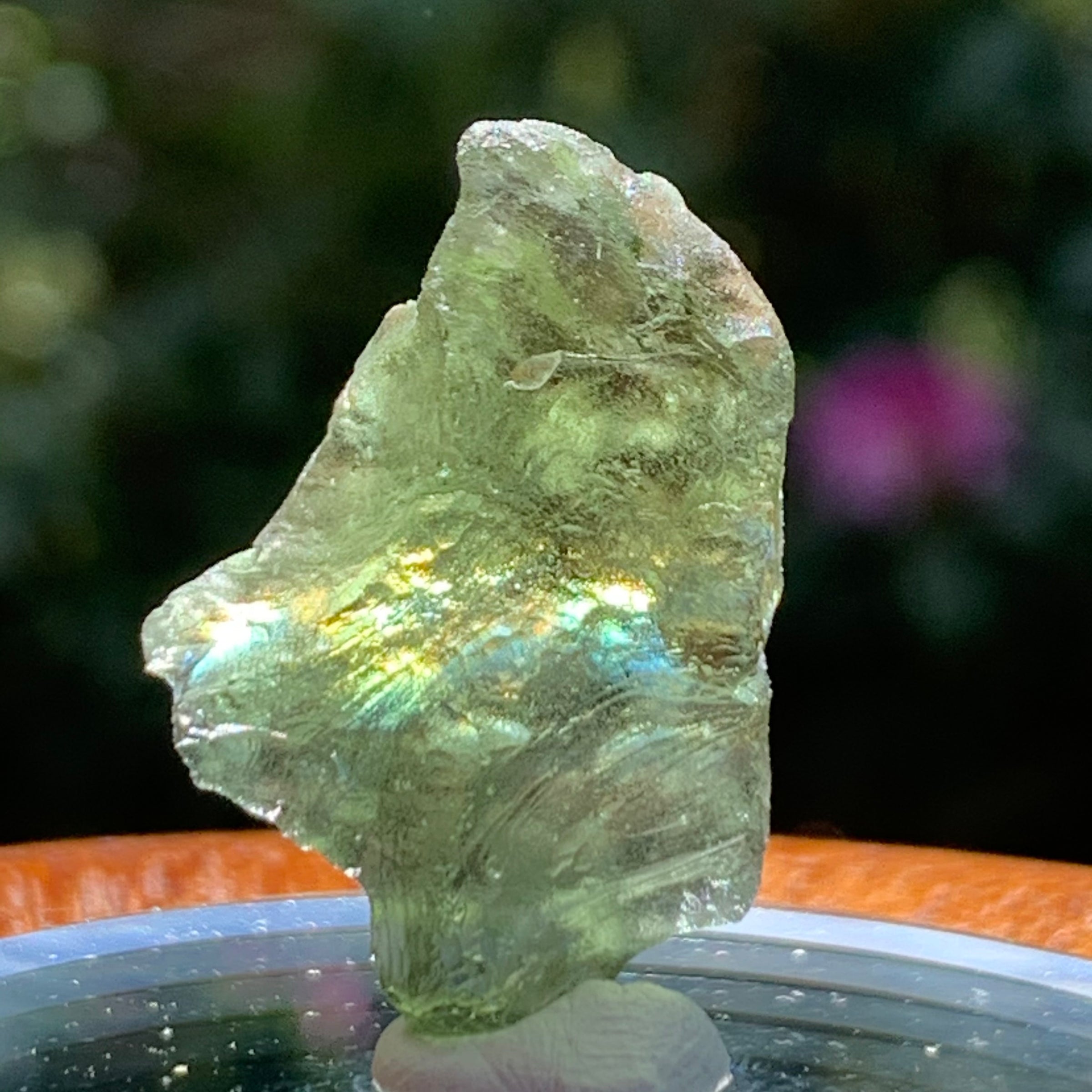 Moldavite Genuine Certified Czech Republic 3.6 grams