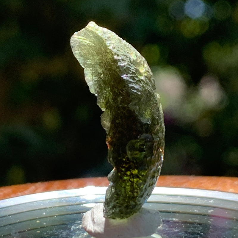 Moldavite Genuine Certified Czech Republic 2.4 grams