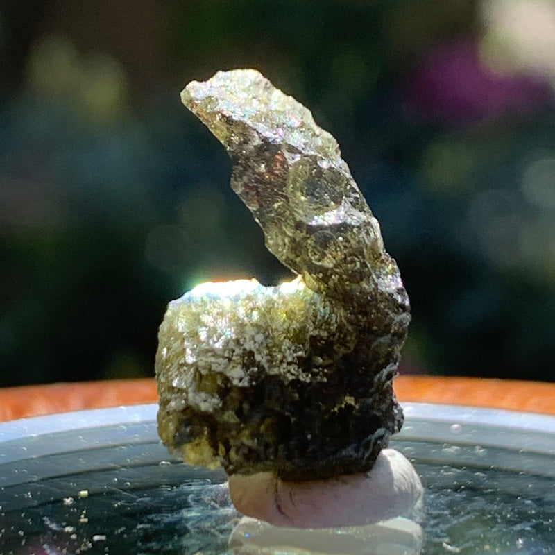 Moldavite Genuine Certified Czech Republic 2.4 grams