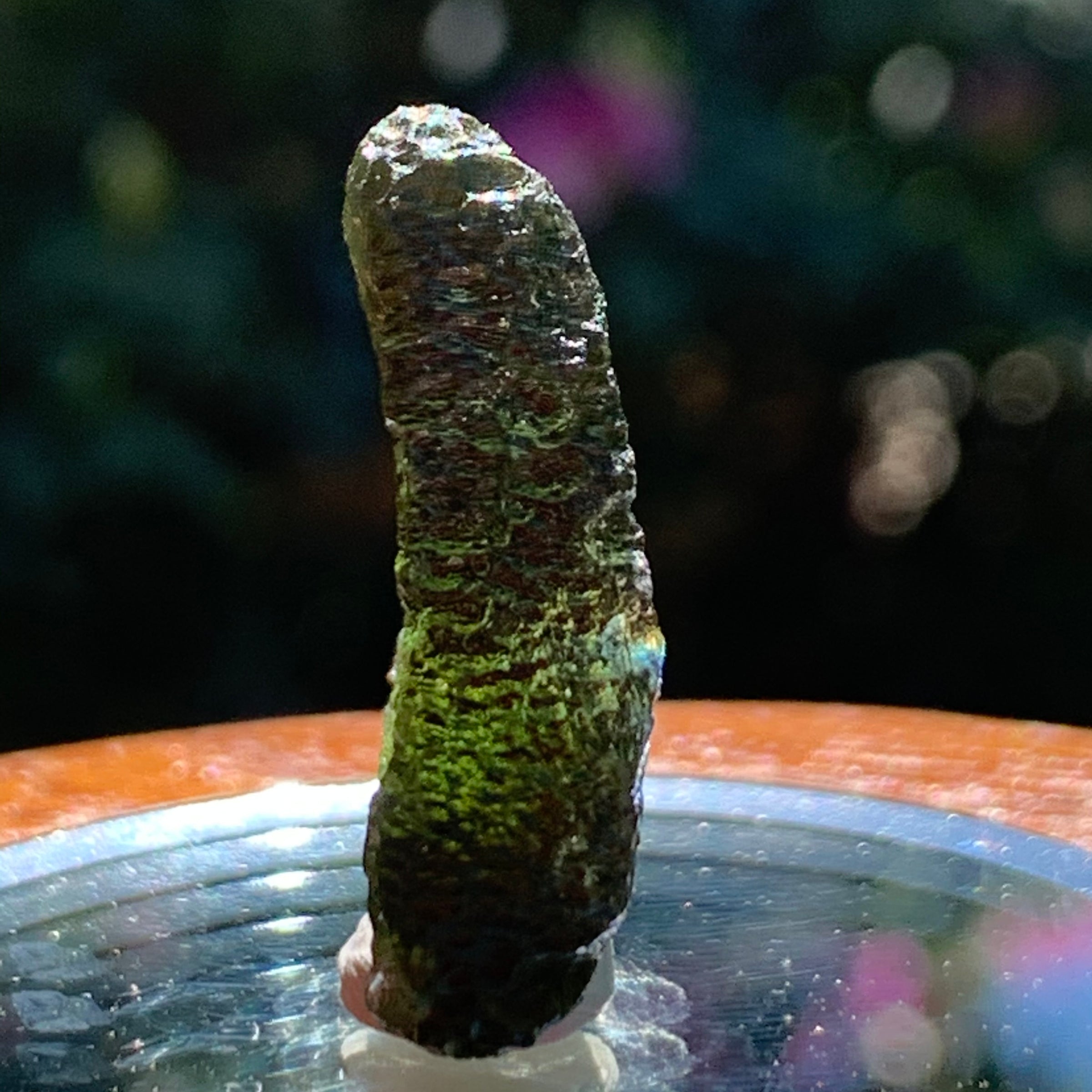 Moldavite 5.6 grams