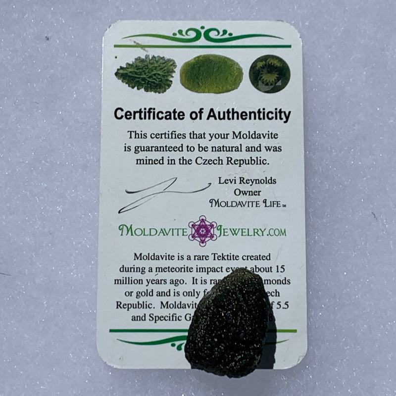 Moldavite Genuine Certified Czech Republic 5.8 grams