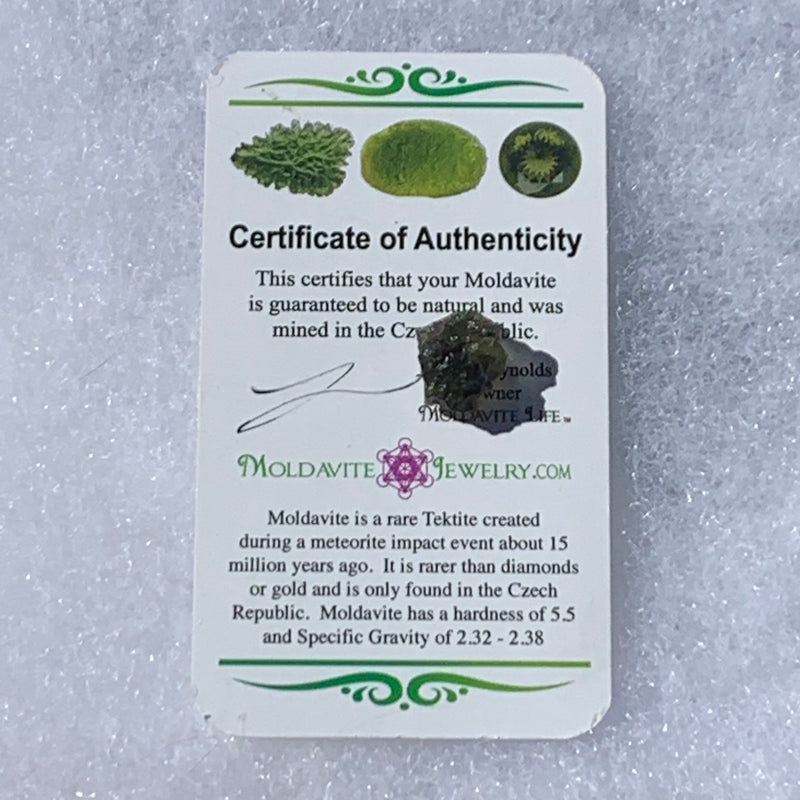 Moldavite Genuine Certified Czech Republic 1.1 grams