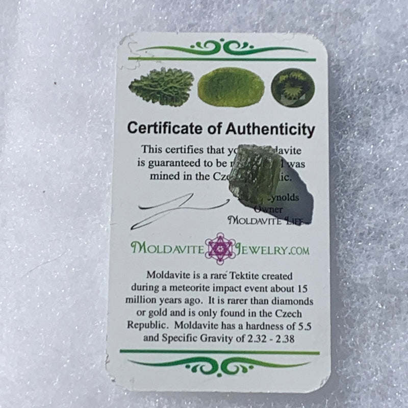 Moldavite Genuine Certified Czech Republic 1.3 grams