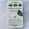 Moldavite Genuine Certified Czech Republic 1.1 grams