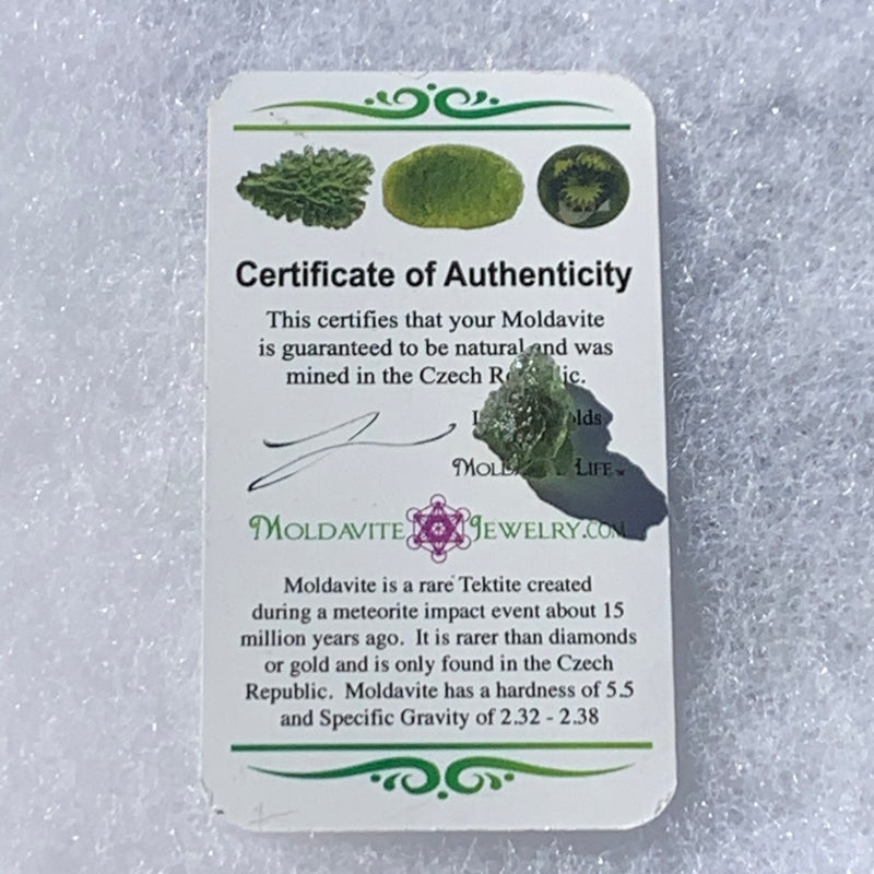 Moldavite Genuine Certified Czech Republic 1.0 gram