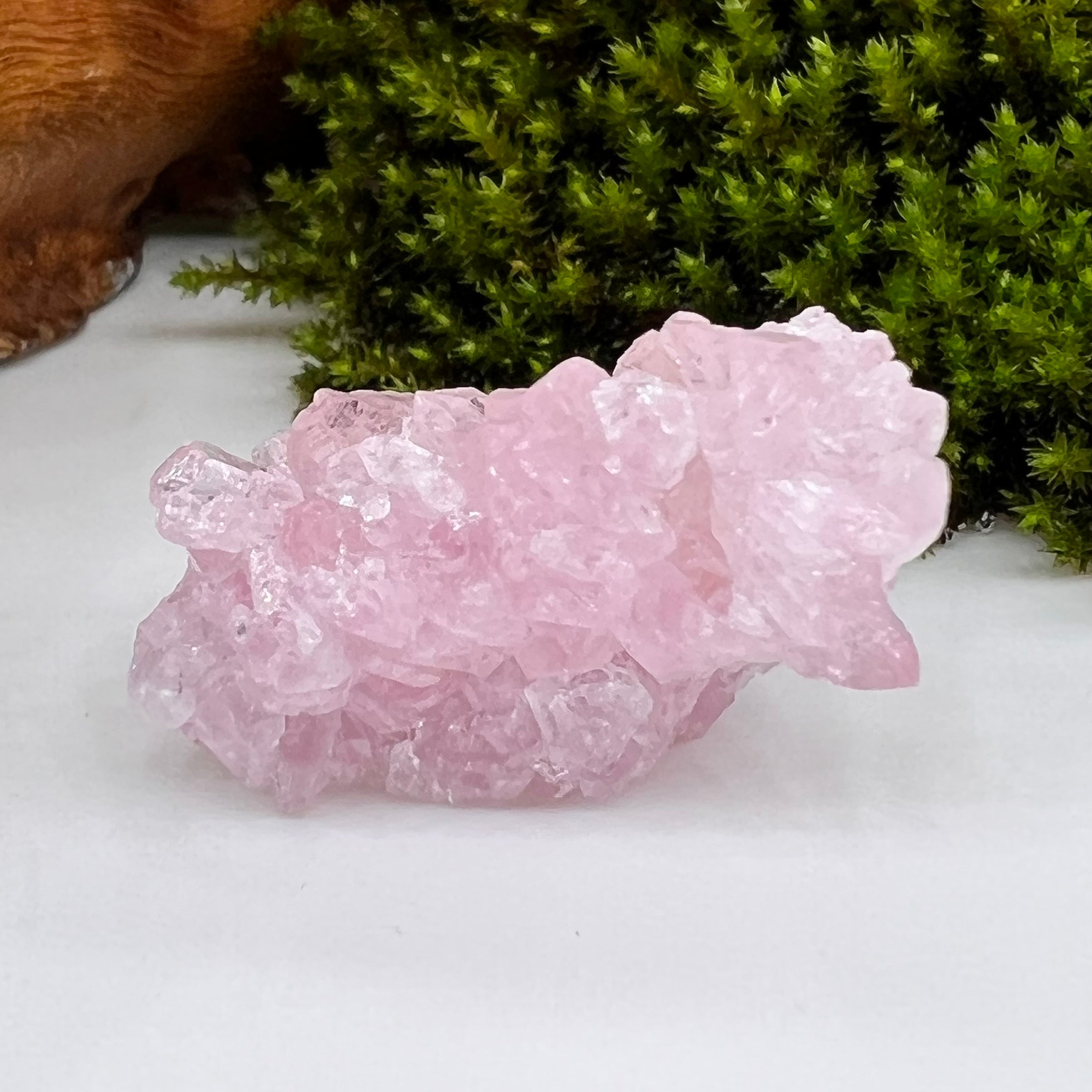 Crystalized Rose Quartz #34-Moldavite Life