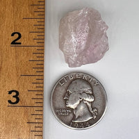 Crystalized Rose Quartz Elestial #48-Moldavite Life