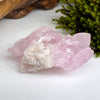 Crystalized Rose Quartz Frosted #49-Moldavite Life