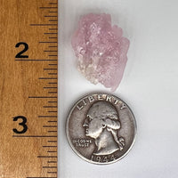 Crystalized Rose Quartz Frosted #49-Moldavite Life