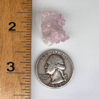 Crystalized Rose Quartz Elestial #58-Moldavite Life