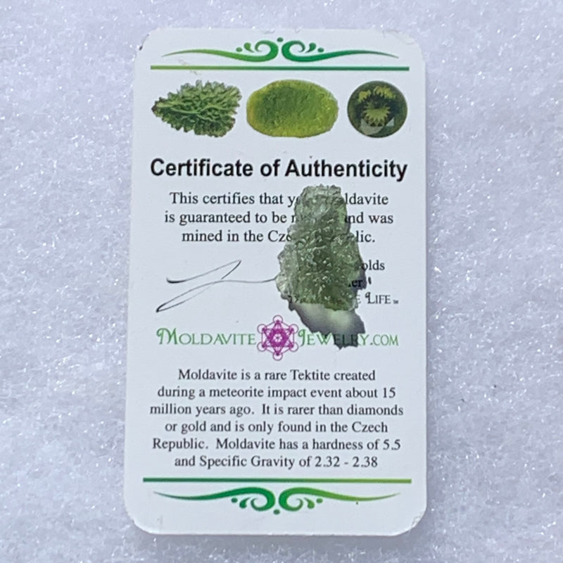 Besednice Moldavite Genuine Certified 1.2 grams Small