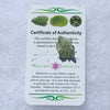 Besednice Moldavite Genuine Certified 0.9 grams Small