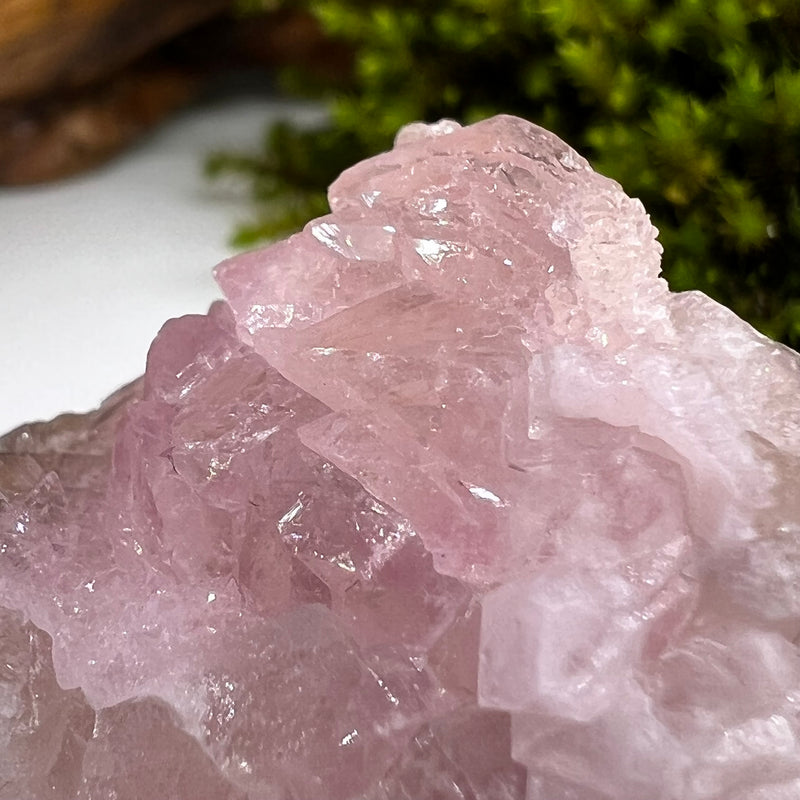 Crystalized Rose Quartz Glistening #68-Moldavite Life