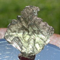 Small Besednice Moldavite Genuine Certified 1.3 grams