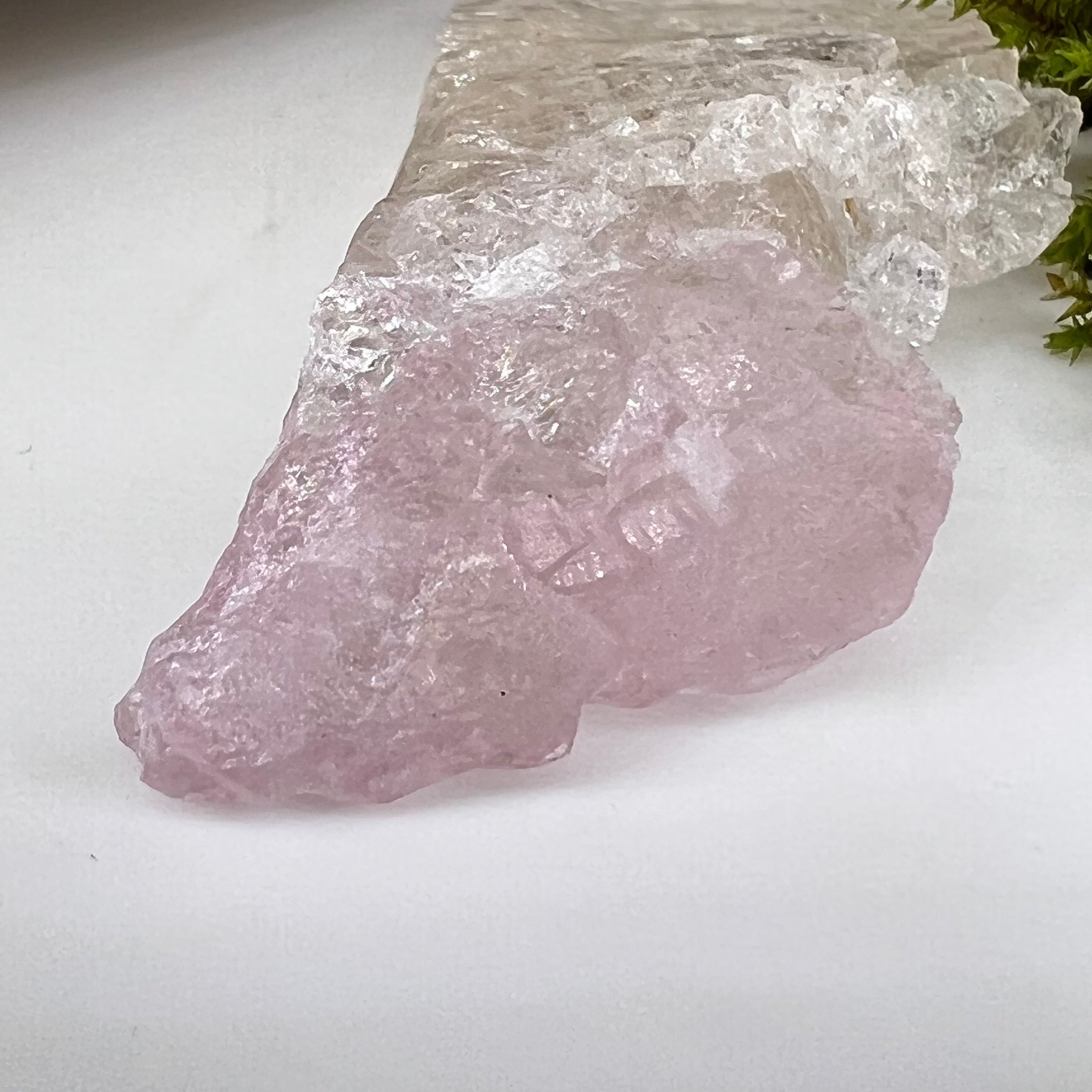 Crystalized Rose Quartz Color Zoned #70-Moldavite Life