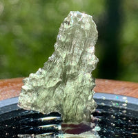 Small Besednice Moldavite Genuine Certified 1.2 grams