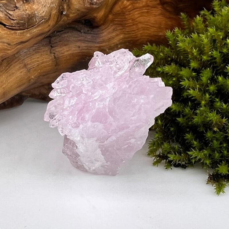 Crystalized Rose Quartz #72-Moldavite Life