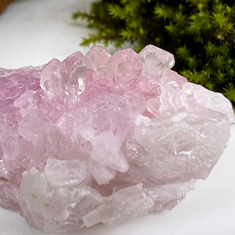 Crystalized Rose Quartz Glistening #73-Moldavite Life