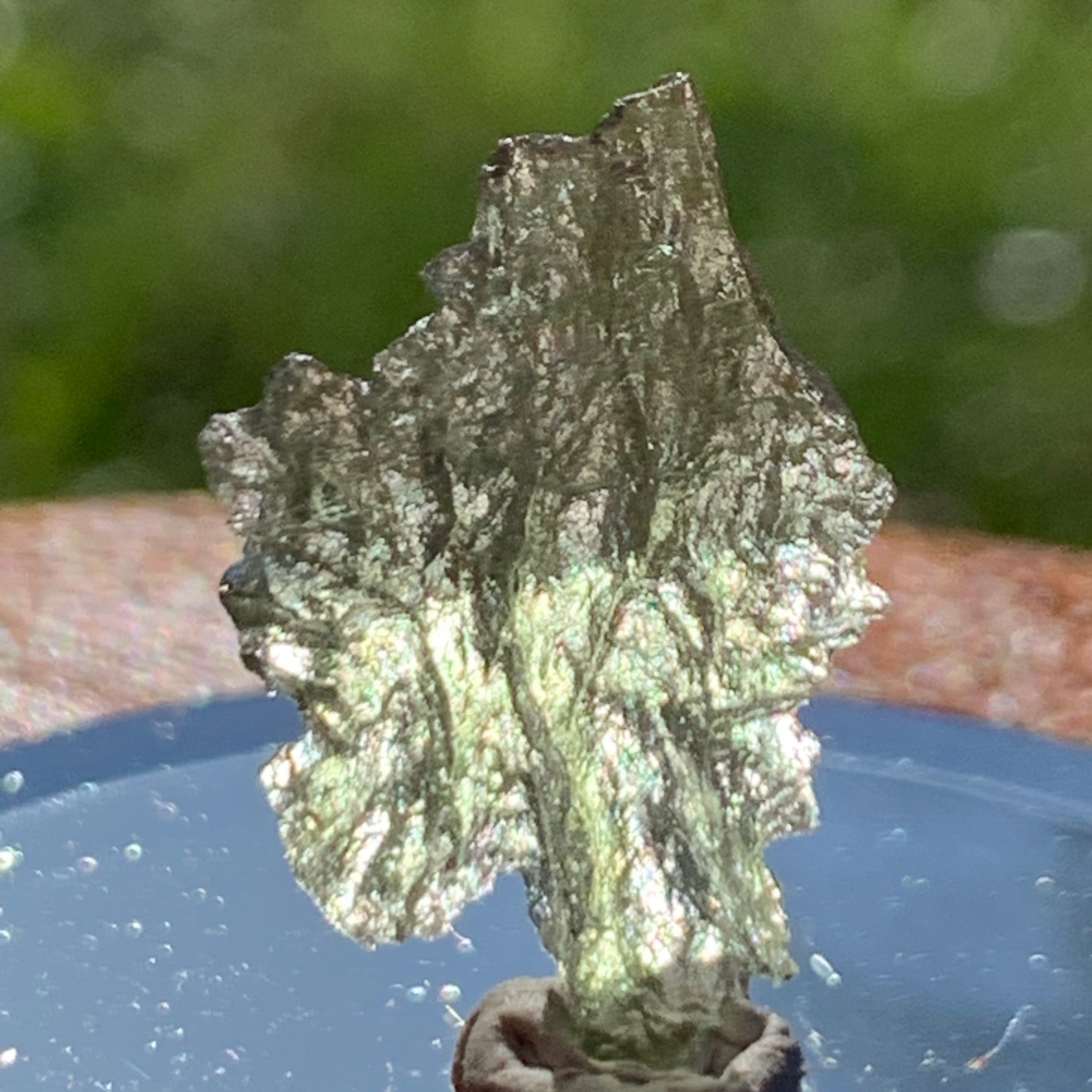Small Besednice Moldavite Genuine Certified 0.6 grams